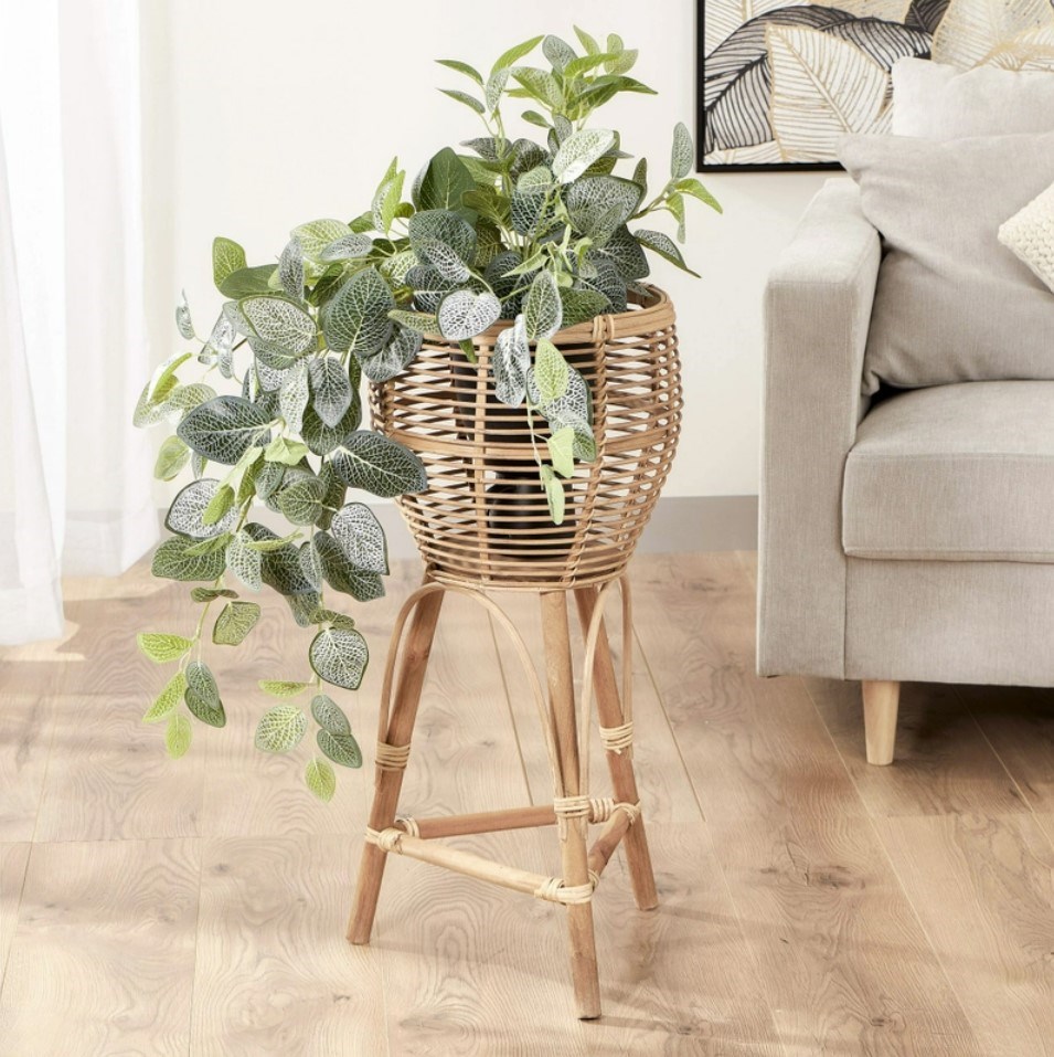 rattan plant  decor